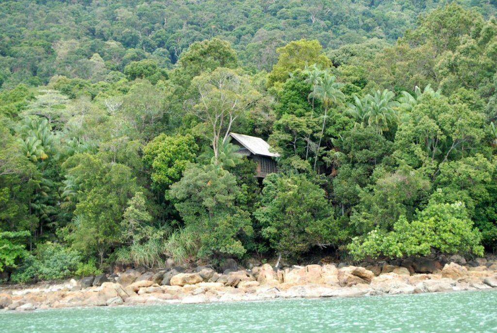 Hilang Di Permai Rainforest, Dua Remaja Sesat Semasa Mendaki Ditemui Dalam Keadaan Selamat