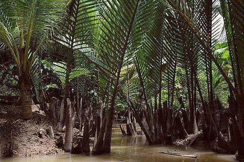 Dilaporkan Hilang Sejak Selasa Lalu, Seorang Lelaki Ditemui Mati Dalam Hutan Nipah 8 18033382 425859584446813 7207408033923772647 n Dilaporkan Hilang Sejak Selasa Lalu, Seorang Lelaki Ditemui Mati Dalam Hutan Nipah