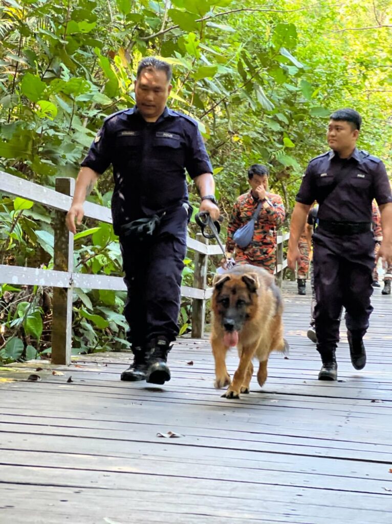 Hilang Di Permai Rainforest, Dua Remaja Sesat Semasa Mendaki Ditemui Dalam Keadaan Selamat