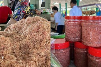 5 Fakta Menarik Tentang Udang Geragau Atau Bubuk Sarawak Yang Anda Perlu Tahu