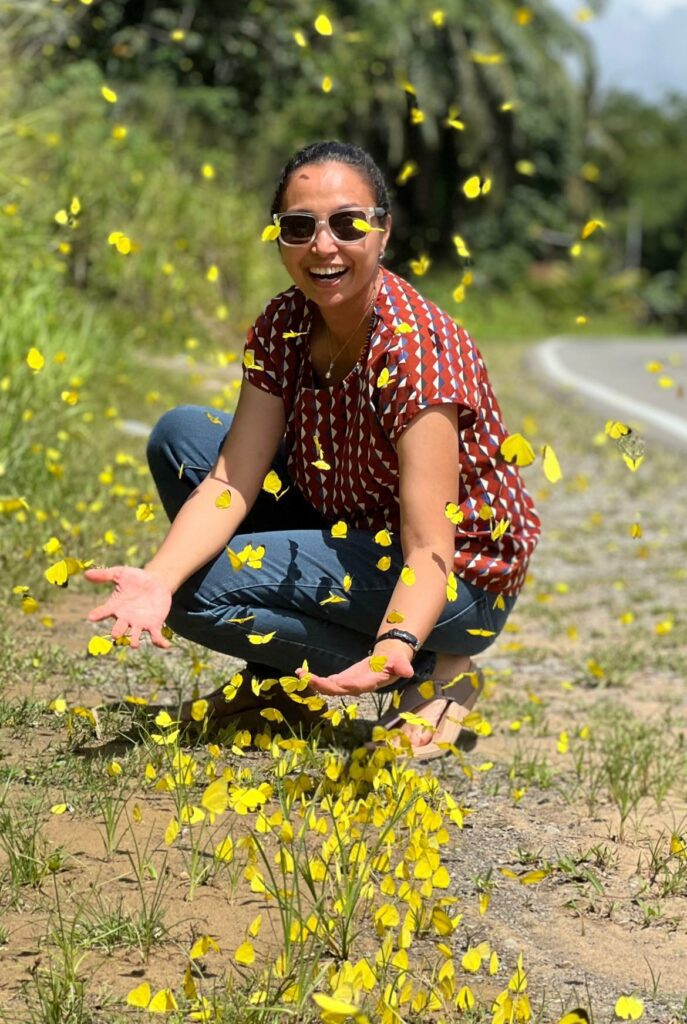 Fenomena Rare Kupu-Kupu Kuning Di Jalan Kota Marudu Bikin Netizen Teruja