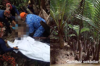 Dilaporkan Hilang Sejak Selasa Lalu, Seorang Lelaki Ditemui Mati Dalam Hutan Nipah