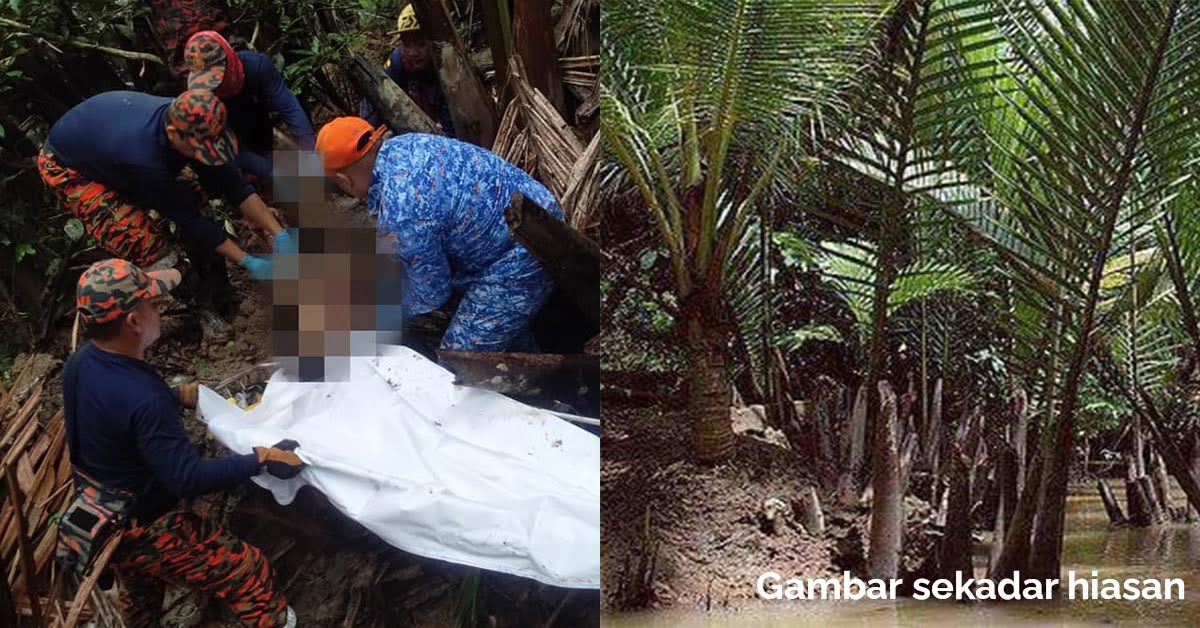 Dilaporkan Hilang Sejak Selasa Lalu, Seorang Lelaki Ditemui Mati Dalam Hutan Nipah