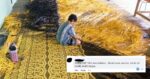 Tular Wanita Sarawak Anyam Tikar Gergasi, Netizen Cuba Teka Nilai Buatan Tangan Ini