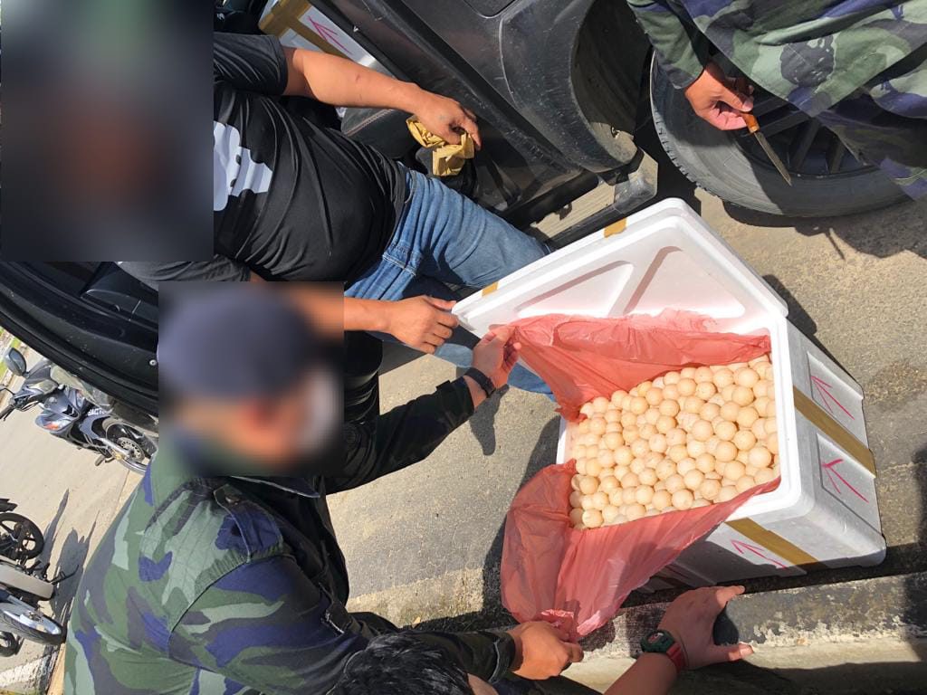 2 Lelaki Tumpas Seludup 11,700 Biji Telur Penyu Di Lawas