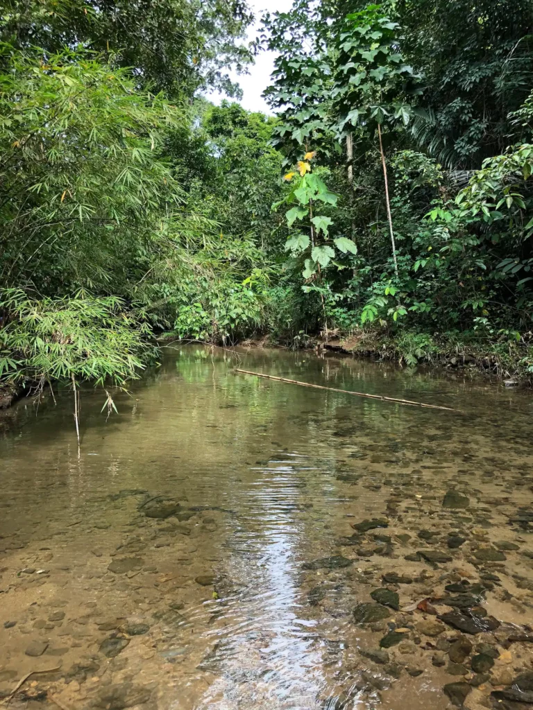 Ini 4 Senarai Tempat Penginapan Airbnb Highly Recommended Di Lundu