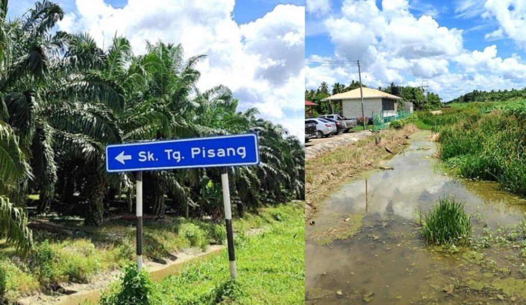 Kelibat Buaya Dikesan Di Sekolah Rendah Simunjan, SFC Nasihatkan Orang Awam Berwaspada