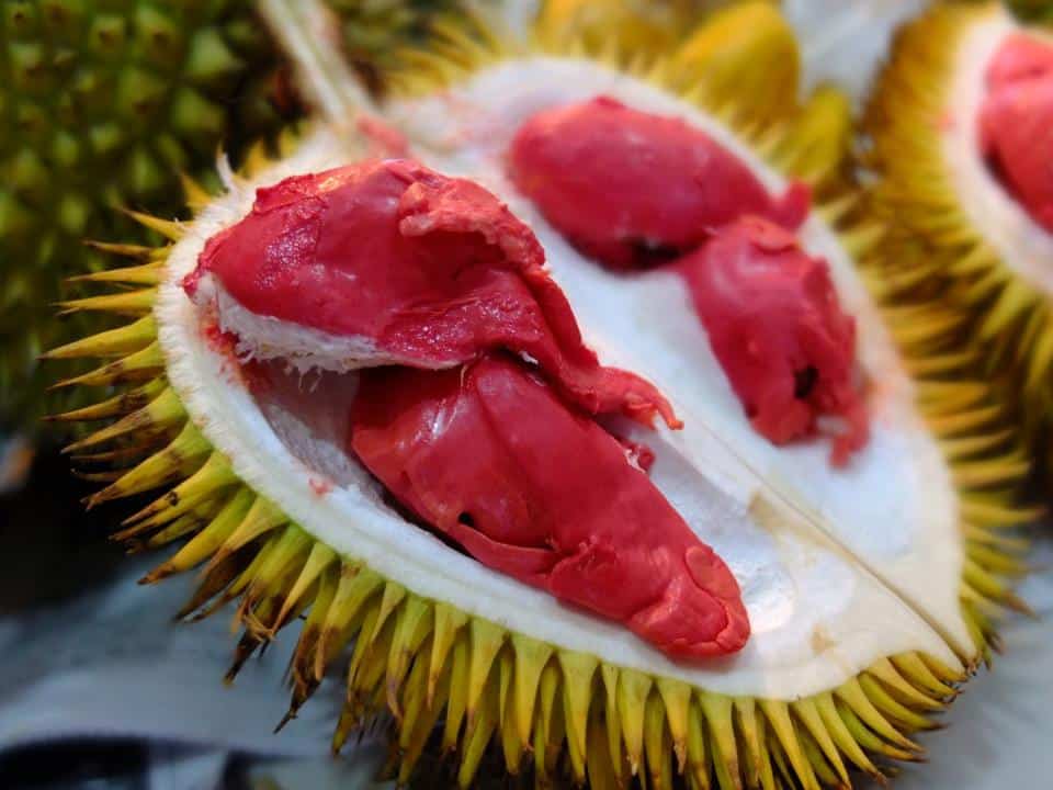 Keunikannya Digemari Ramai, Kenali 4 Jenis Durian Hutan Di Borneo