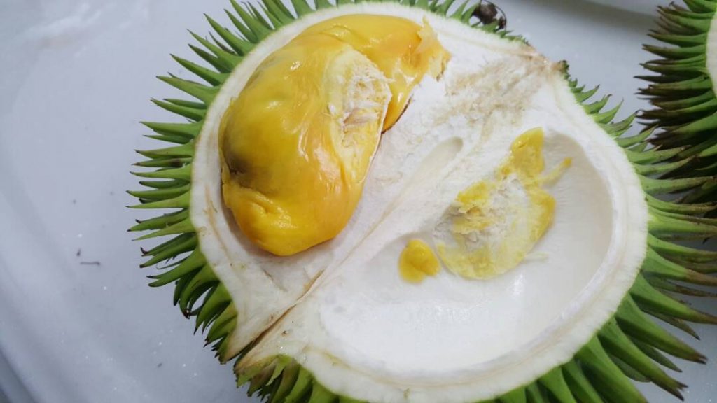 Keunikannya Digemari Ramai, Kenali 4 Jenis Durian Hutan Di Borneo