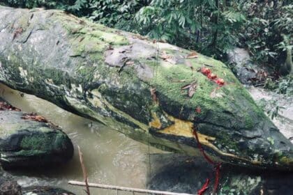 Ini Adalah Antara Kisah Batu Misteri Yang Terdapat Di Sarawak