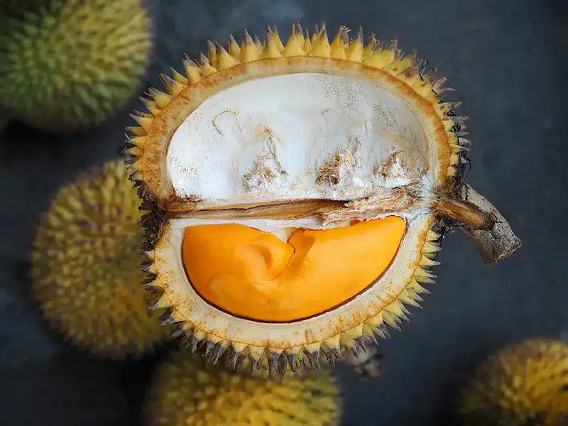 Keunikannya Digemari Ramai, Kenali 4 Jenis Durian Hutan Di Borneo