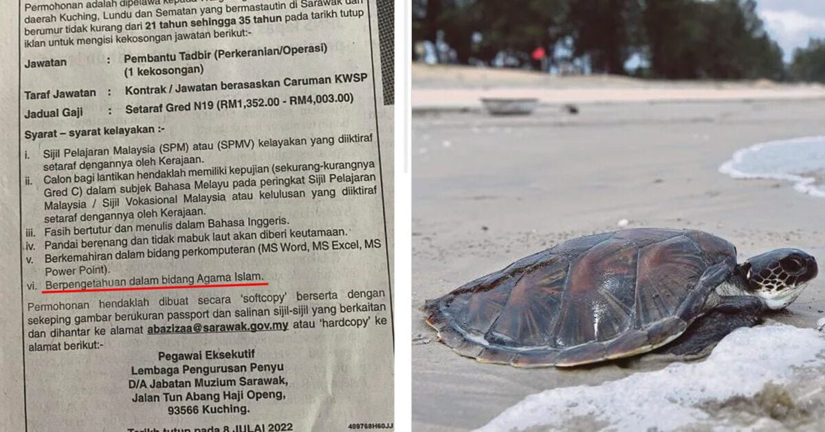 Kerja Di Lembaga Pengurusan Penyu Kena Arif Tentang Islam, Lelaki Ini Pertikai Syarat Jawatan Kosong Tidak Relevan