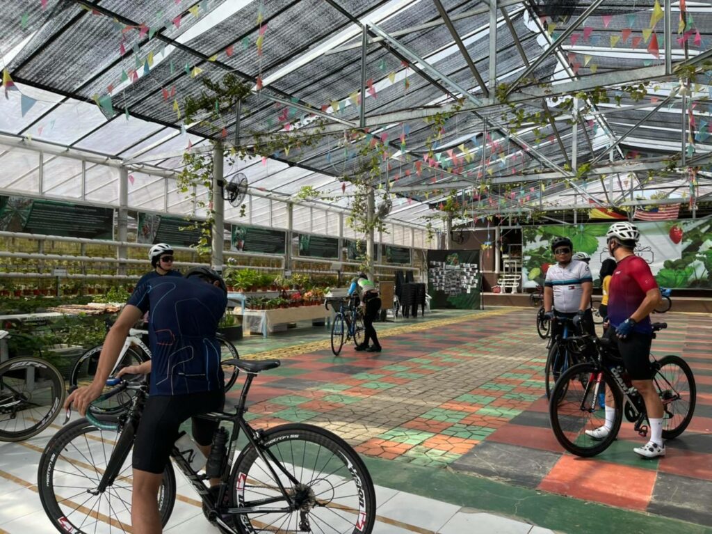 Ladang Strawberry Kuching, Jantayu Strawberry Farm Dibuka Semula 22 Julai Ini!