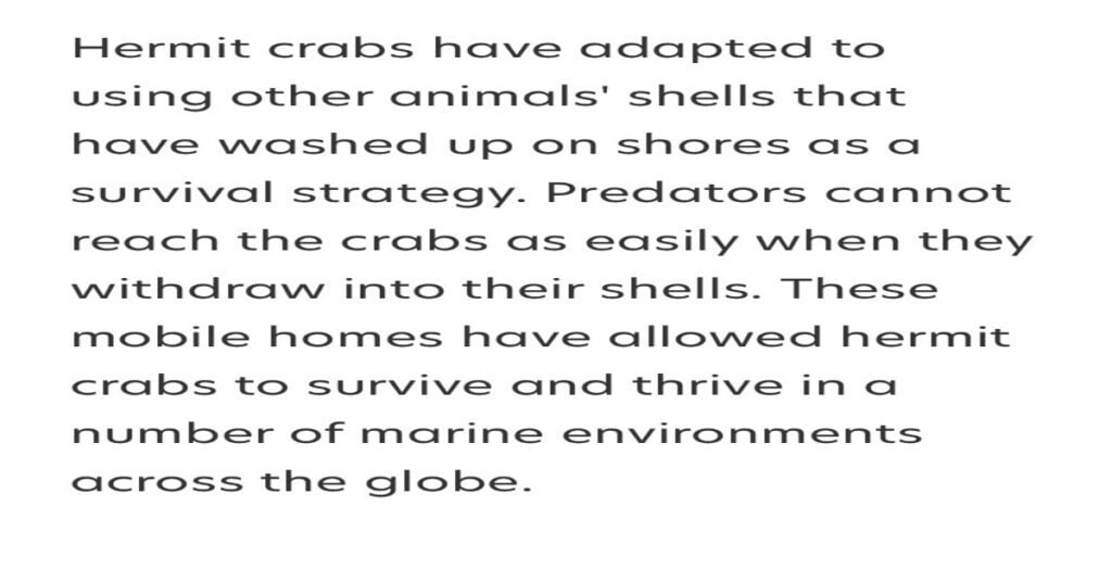 Adakah Penjualan 'Hermit Crab' Dengan Cengkerangnya Dicat Sebagai Hiasan Baik Atau Berbahaya?