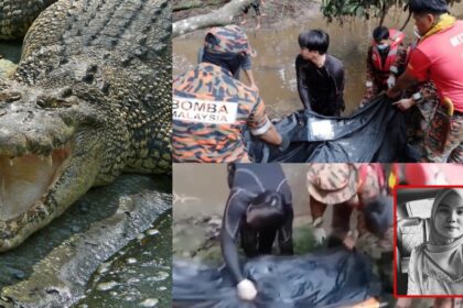 Lagi Mangsa Dipercayai Dibaham Buaya, Kini Berlaku Di Sabah