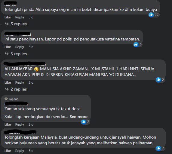Netizen Marah Daging Goreng Anak Anjing Dijual Di Sibu, Tetapi Ini Kisah Sebenarnya