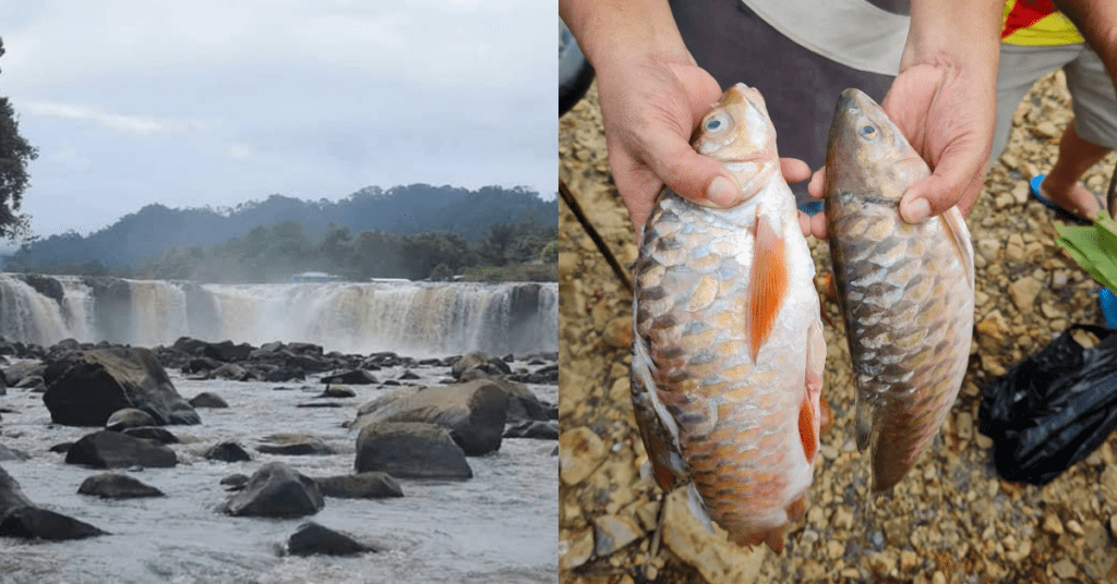 Air Terjun Lusong Laku Lubok Memancing Ikan 'Kayangan' Empurau