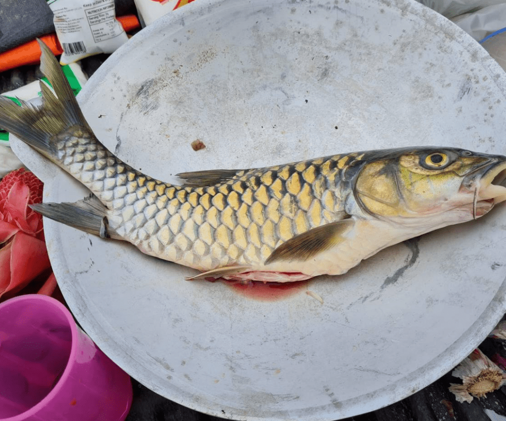 Air Terjun Lusong Laku Lubok Memancing Ikan 'Kayangan' Empurau