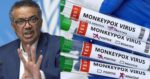 Lebih 16,000 Kes Cacar Monyet-WHO Mengisytiharkan Kecemasan Global