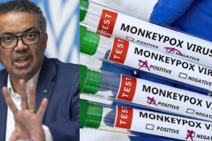 Lebih 16,000 Kes Cacar Monyet-WHO Mengisytiharkan Kecemasan Global