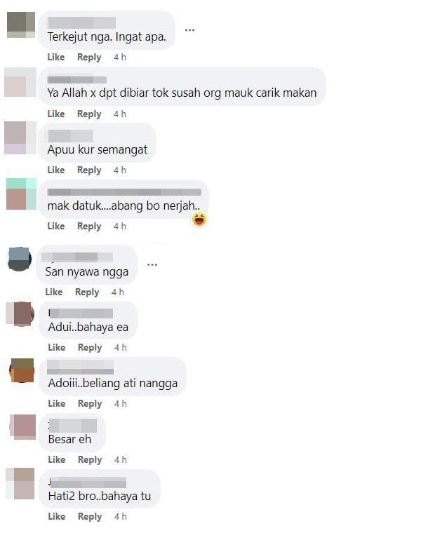 Buaya Melompat Ketika Pukat Ditarik, Netizen Ngeri Lihat Rakaman Ini