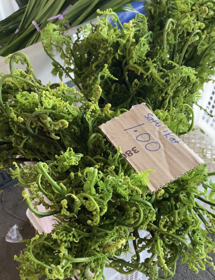 Tumbuh Secara Semulajadi, Ketahui Sayur Midin Makanan Hak Milik Mutlak Sarawak