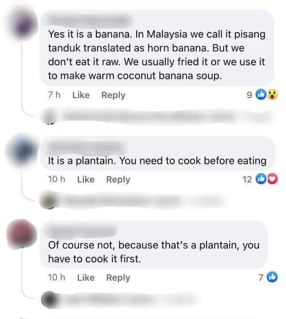 Video Mat Salleh Makan Pisang Tanduk Di Waterfront Kuching Tular Sehingga Ke Luar Negara