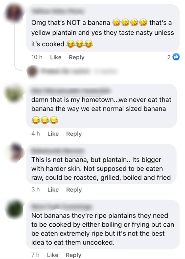 Video Mat Salleh Makan Pisang Tanduk Di Waterfront Kuching Tular Sehingga Ke Luar Negara