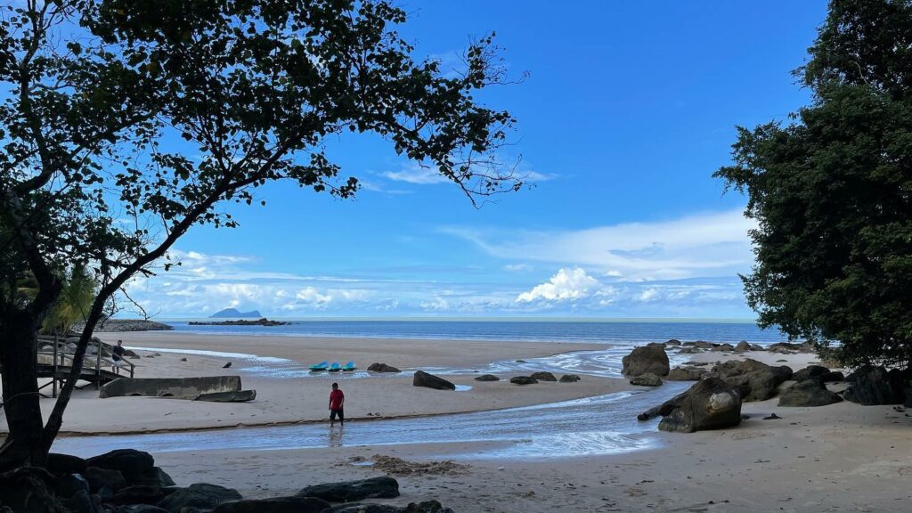 Homestay Atas Pokok Dikelilingi Alam Semulajadi, Nikmati Percutian Menarik Di Permai Rainforest Kuching