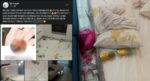 'Balik-Balik Kena Kasi Ingat, Rimas Betul' Pemilik Staycation Di Sabah Ini Dedah Perangai Pengunjung