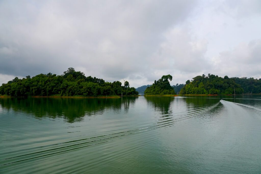Ada Burung Enggang, Rafflesia, Pokok Belian, Terokai Hutan Royal Belum Perak Yang Berusia 130 Juta Tahun