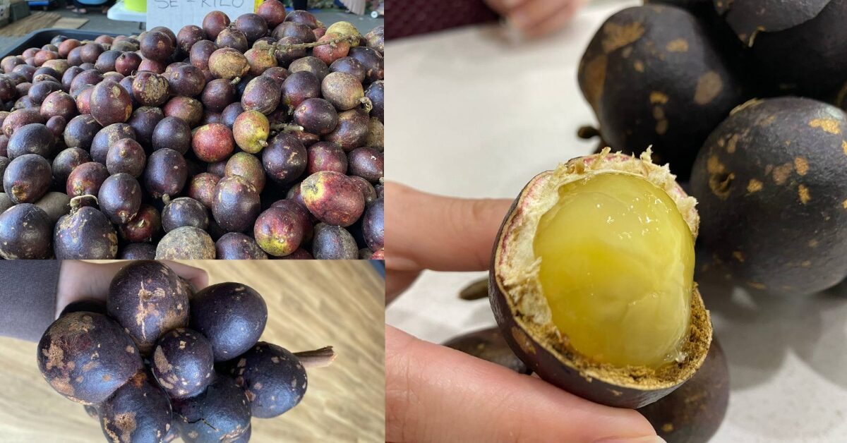 Isinya Tebal Dan Manis, Ketahui Buah Kristal Yang Terkenal Dengan 3 Rasa