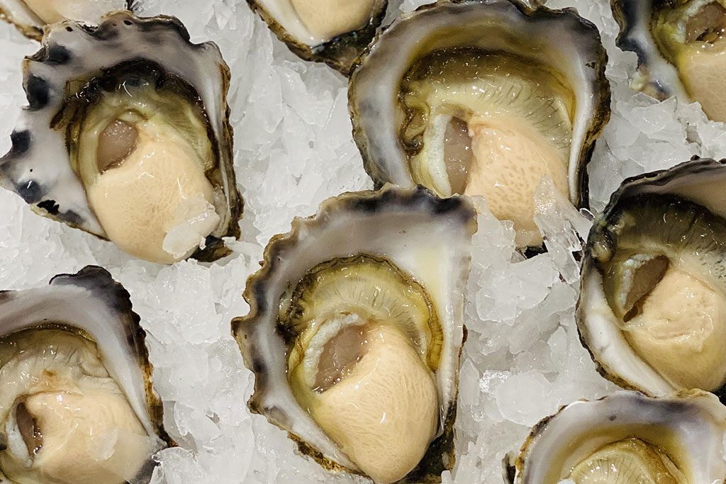 Menjadi Trend Kini, Tahukah Anda Oyster Mentah Sebenarnya Undang Risiko Keracunan Makanan