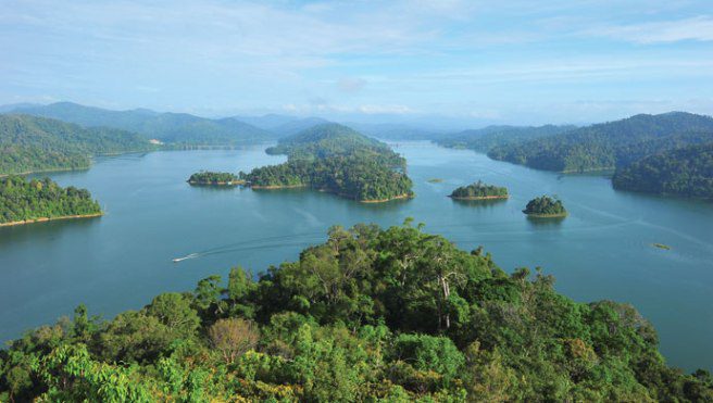 Ada Burung Enggang, Rafflesia, Pokok Belian, Terokai Hutan Royal Belum Perak Yang Berusia 130 Juta Tahun