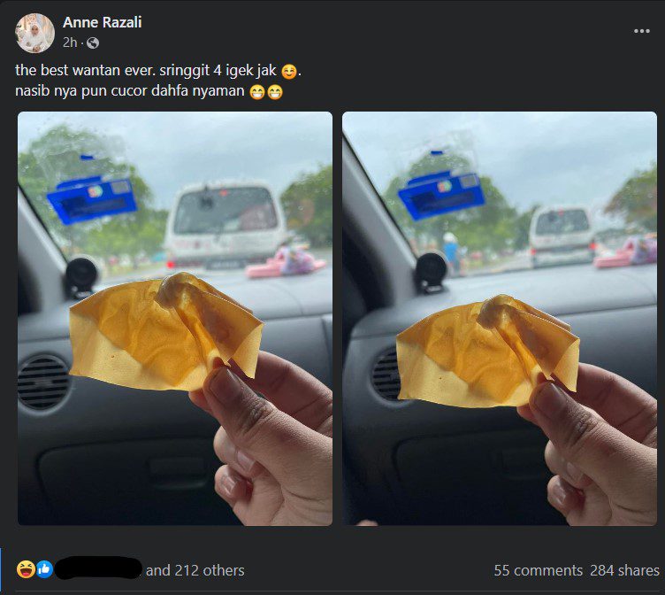 'The Best Wantan Ever' - Tular Wantan Isi Secubit, Reaksi Netizen Pula Tidak Pernah Mengecewakan
