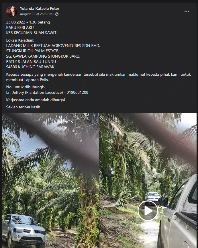 Tular Aksi Berani Rembat Buah Sawit Guna Kenderaan Curi Di Lundu, Laporan Polis Sedang Dibuat