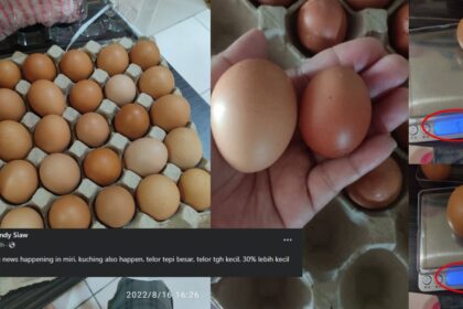 Tular Pembeli Ditipu Peniaga Jual Telur Saiz Gred A Di Miri Dan Kuching