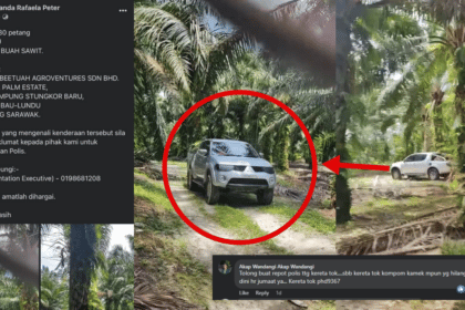 Tular Aksi Berani 'Rembat' Buah Sawit Guna Kenderaan Curi Di Lundu, Laporan Polis Sedang Dibuat
