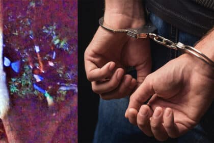 Terjumpa Motosikal Asing Di Luar Rumah, Rupa-Rupanya Bakal Pencuri Bertapuk Di Atas Pokok
