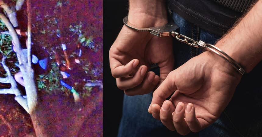 Terjumpa Motosikal Asing Di Luar Rumah, Rupa-Rupanya Bakal Pencuri Bertapuk Di Atas Pokok