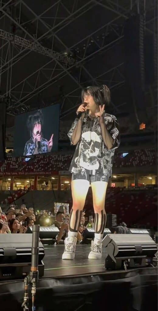 Masih Belum 'Move On' Lagi, Kini Udara Konsert Billie Eilish Dijual Dengan Harga Sekitar RM48k