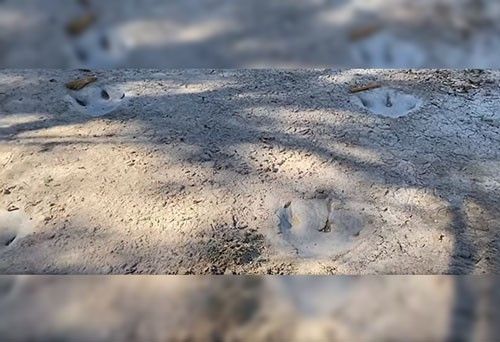 Kemarau Teruk Dedah 6 Tinggalan Misteri Yang Timbul Di Seluruh Dunia