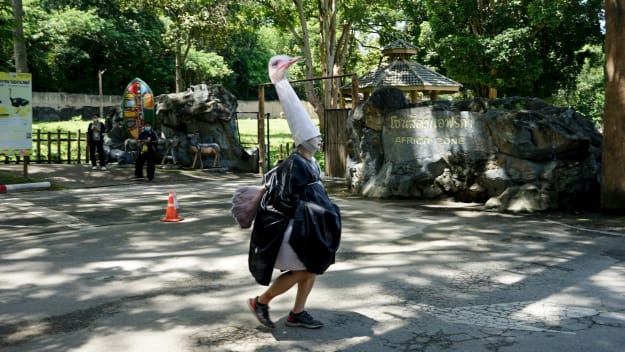 Lucu Penjaga Zoo Thailand Berpakaian Seperti Burung Unta Ditangkap
