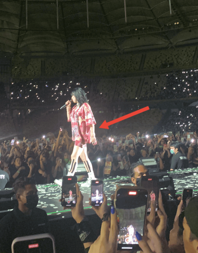 Netizen Terhibur Dengan Barangan 'Kepunyaan' Billie Eilish Dijual Online, Siap Ada Botol Air Bernilai RM1.2K