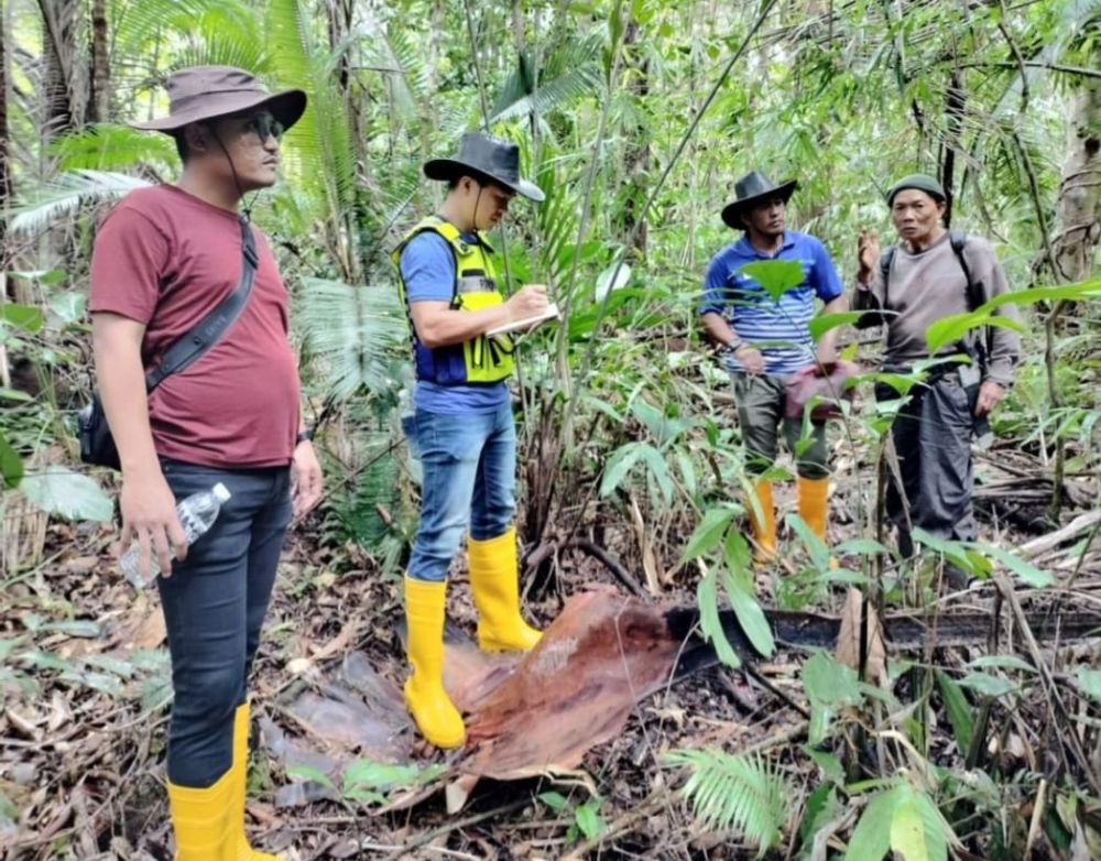 Disangka Babi Hutan, Lelaki Maut Ditembak Rakan Sendiri Semasa Berburu Di Padawan