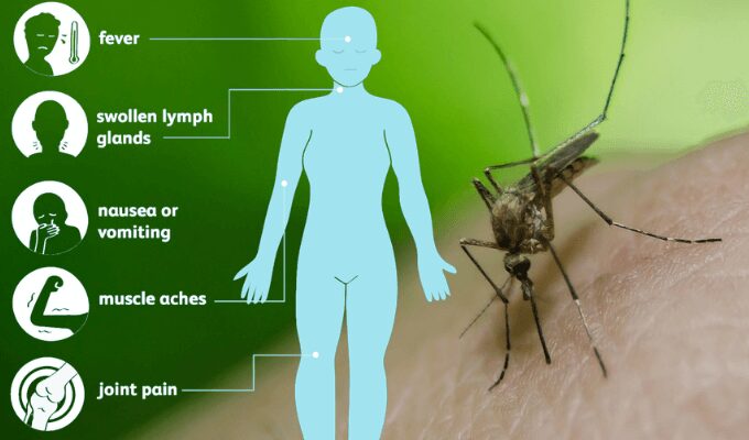 Catat Sebanyak 11 Kematian, Itali Menjadi Kawasan 'Hotspot' Wabak Demam West Nile
