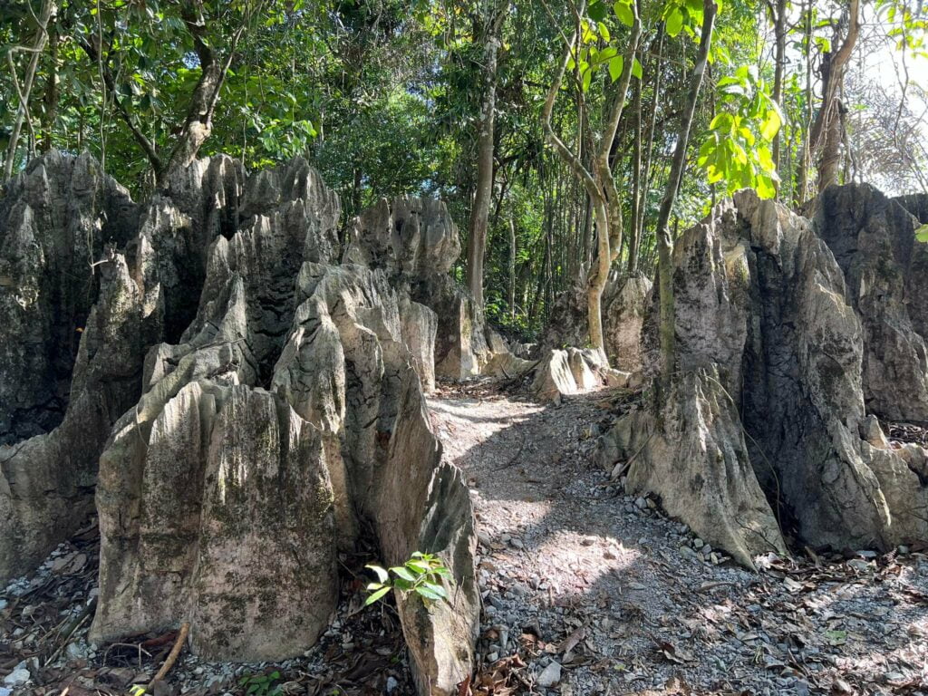 Meditasi di Hutan Batu, Paku Rock Maze Garden Tarikan Baru Di Bau