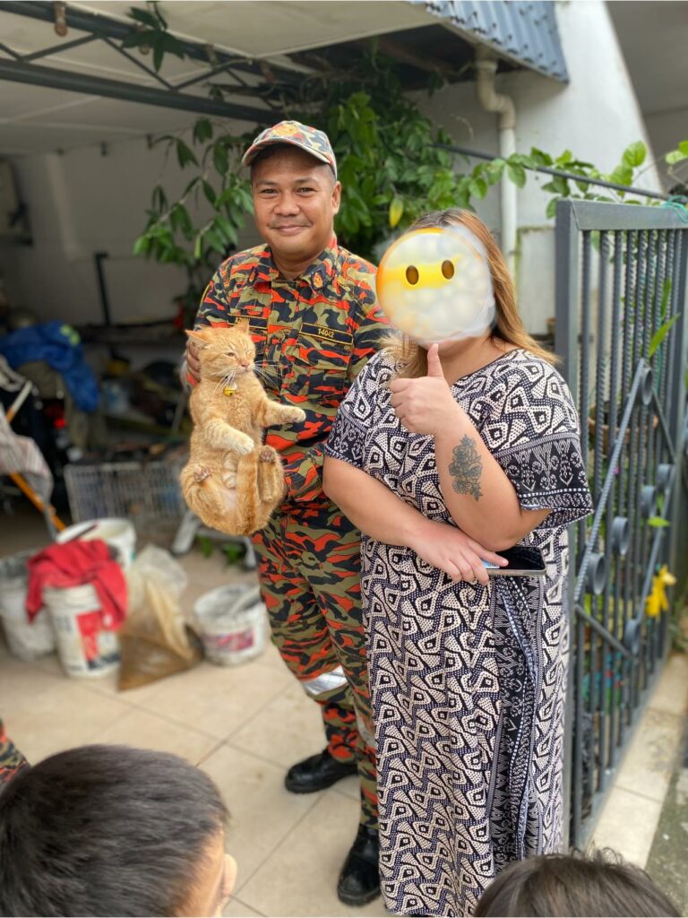 Terpaksa Diselamatkan Bomba, Oyen Terperangkap Dalam Siling Jiran Cuit Hati Netizen
