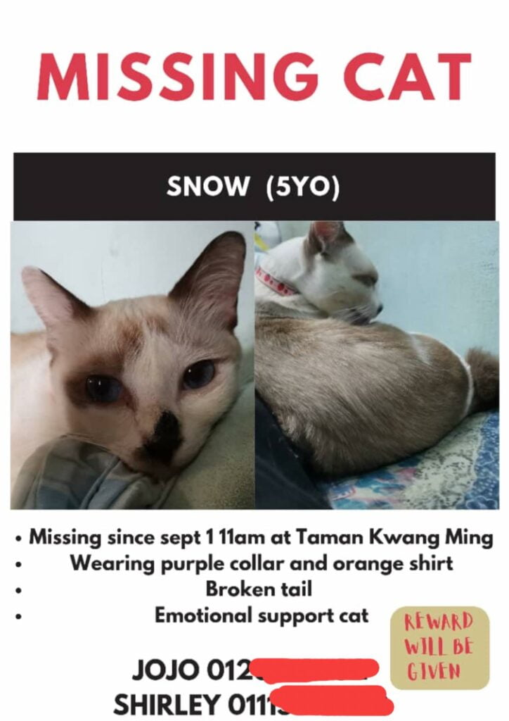 Ugut Lempar Kucing Peliharaan Ke Sungai, Penculik Minta Wang Tebusan Sebanyak RM6K Di Kuching
