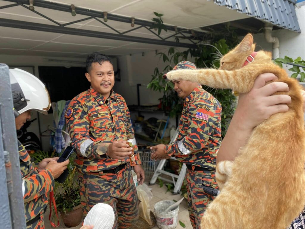 Terpaksa Diselamatkan Bomba, Oyen Terperangkap Dalam Siling Jiran Cuit Hati Netizen